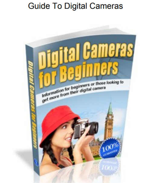 Digital Cameras For Beginners