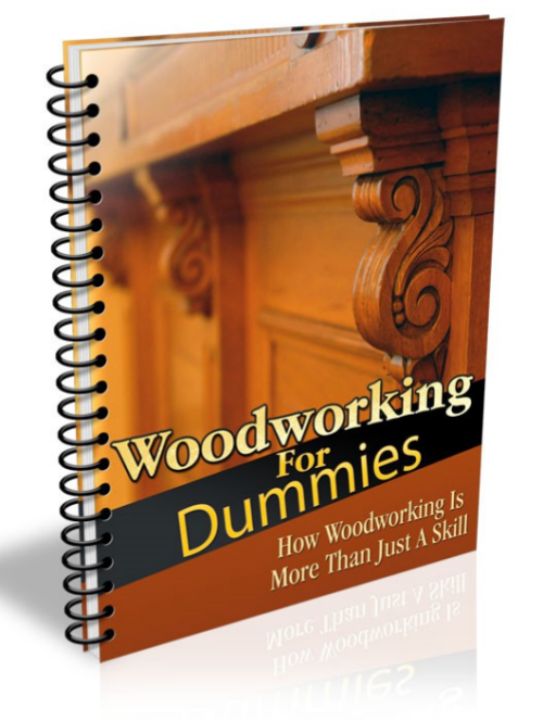 Woodworking For Dummies